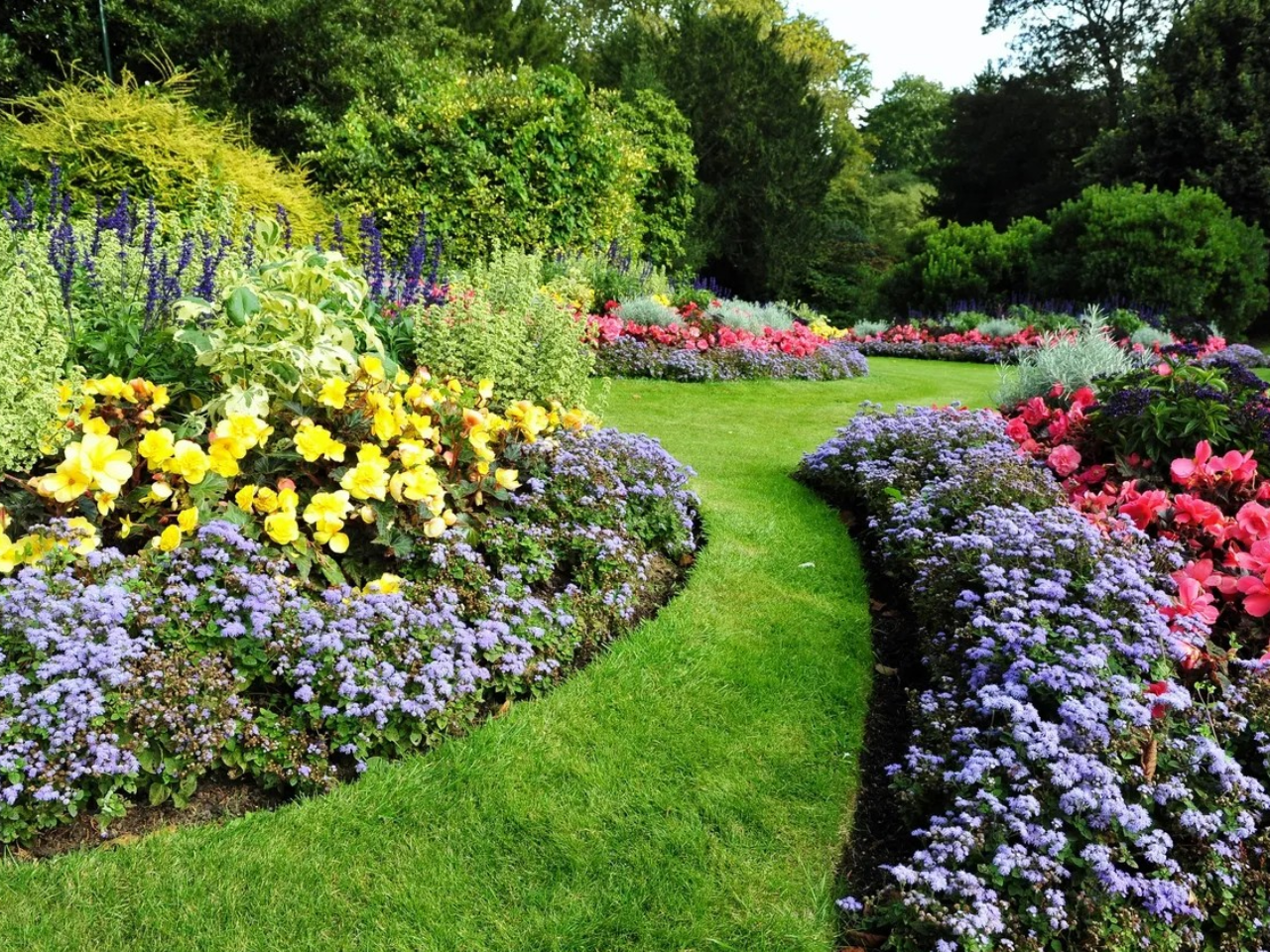 a garden with colorful flowers and a pathway
