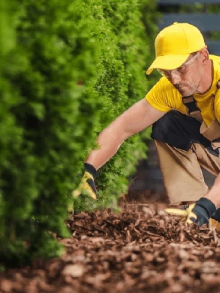 a man in yellow is weeding bushes in a garden
