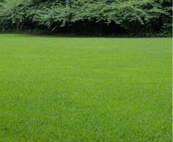 PGA2 a man is mowing the grass with a lawn mower