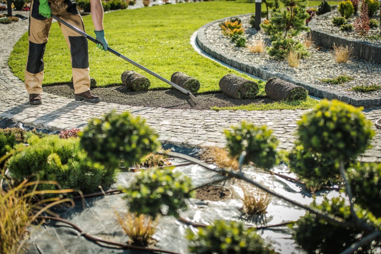 person putting sod in a yard